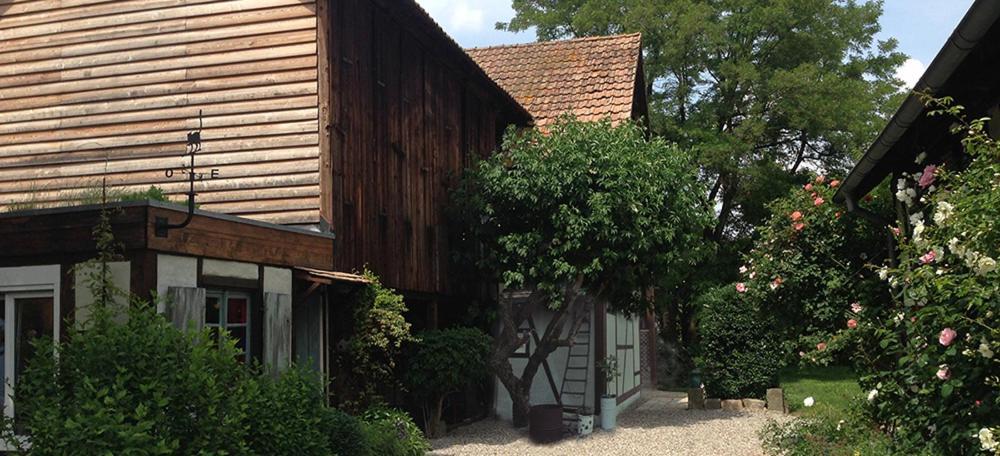Apartmán Le Sechoir Du Ried Rossfeld Exteriér fotografie